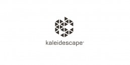 Kaleidescape